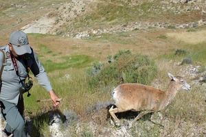 علت فوت محیط‌بان پارک ملی لار در دست بررسی است