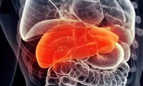 محققان به درمان جدیدی برای بیماران کبدی دست یافتند