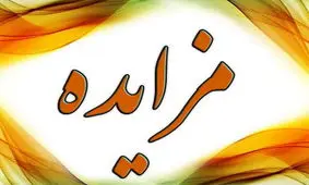 مزایده و فروش املاک متهمان پرونده کثیرالشاکی کینگ مانی/ ویدئو