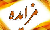 مزایده و فروش املاک متهمان پرونده کثیرالشاکی کینگ مانی/ ویدئو