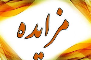 مزایده و فروش املاک متهمان پرونده کثیرالشاکی کینگ مانی/ ویدئو