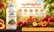 از زردی برگ تا ریزش گل؛ چه زمانی گیاه به کود تخصصی نیاز دارد؟