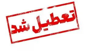 مدارس ابتدایی استان یزد غیرحضوری شد

