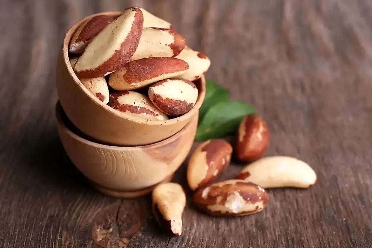 دانه پرخاصیتی که میتواند سرطان زا باشد