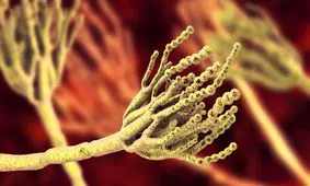 ۱۰ واقعیت کمتر شناخته شده در مورد جنگ جهانی دوم که قطعاً از آن ها مطلع نبودید