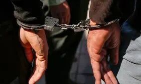 دستگیری عوامل اصلی ناامن سازی جاده‌ها در جنوب کشور/ استفاده متهمان از سلاح گرم برای تهدید رانندگان به اعتصاب اجباری/ ویدئو