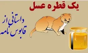 داستان یک قطره عسل از قابوس نامه/ حکایت مرد شکارچی و جنجال بر سر یک قطره عسل