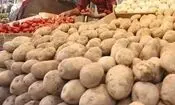 سیب زمینی ارزان راهی بازار می‌شود
