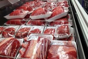 پیشنهاد واردات گوشت ارزان از کنیا