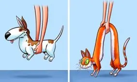 ۹ تفاوت فاحش بین گربه‌ها و سگ‌ها که ثابت می کند دنیاهای متفاوتی دارند!
