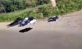 علوی‌های سوریه خواهان همه پرسی حق تعیین سرنوشت و حکومت خودمختار شدند

