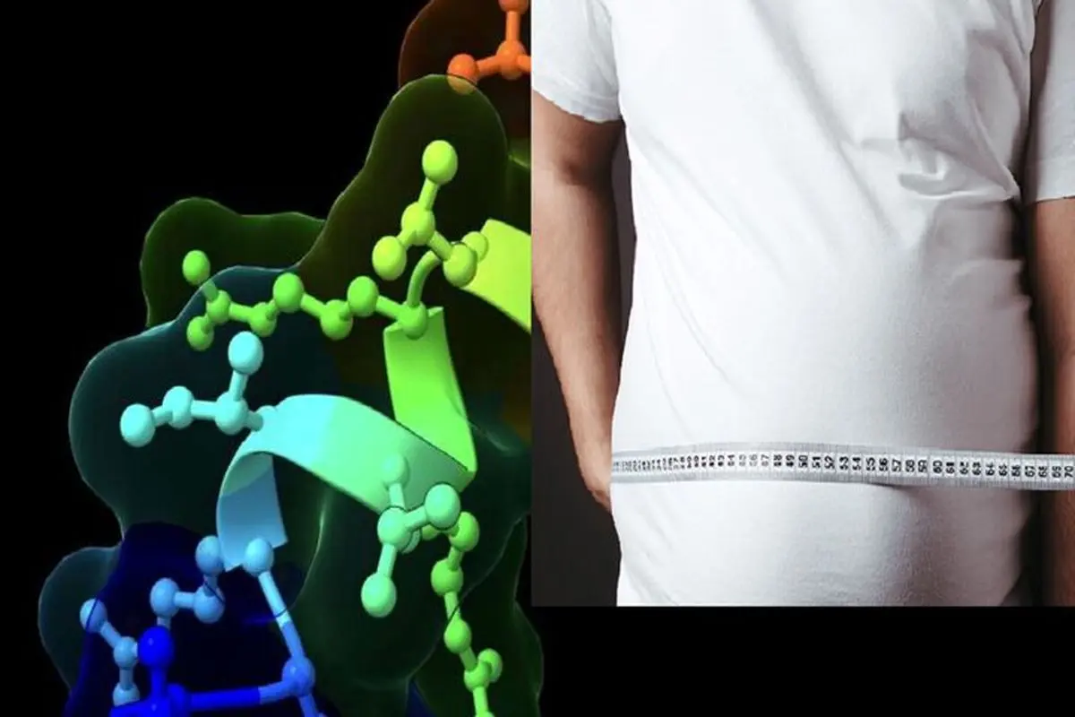 کشف یک داروی طبیعی لاغری بدون عوارض جانبی