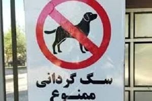 پلمب مهد سگ‌ در تبریز