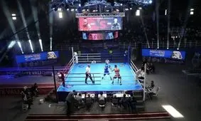 بوکس ایران قهرمان جام بین‌المللی «پوریای ولی» شد