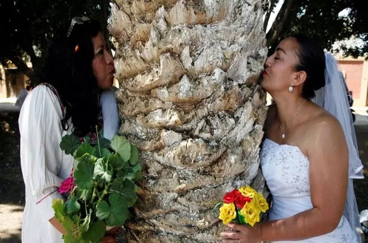 عجیب‌ترین رسوم ازدواج در جهان؛ از ازدواج با درخت موز تا اجبار به نخندیدن!