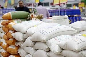 برنج ایرانی گران شد/ متهم اصلی کیست؟