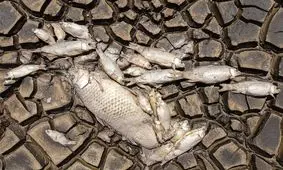 آنچه باید مهار شود تغییرات آب و هوایی است یا صنعت انرژی جدید چین؟

