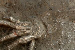 راز دست‌هایی که ۳۵۰۰ سال پیش قطع شدند