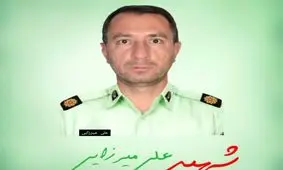 عامل شهادت افسر مبارزه با مواد مخدر ملایر دستگیر شد