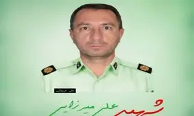 عامل شهادت افسر مبارزه با مواد مخدر ملایر دستگیر شد