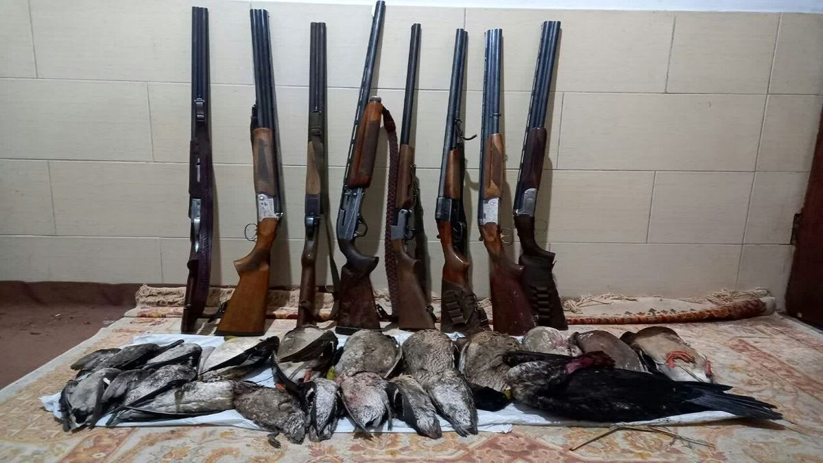 دستگیری ۲۷ شکارچی در ۴ شهر مازندران