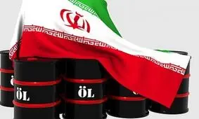 واکنش تریتا پارسی به تصمیم وزارت خزانه داری آمریکا درباره نفت ایران