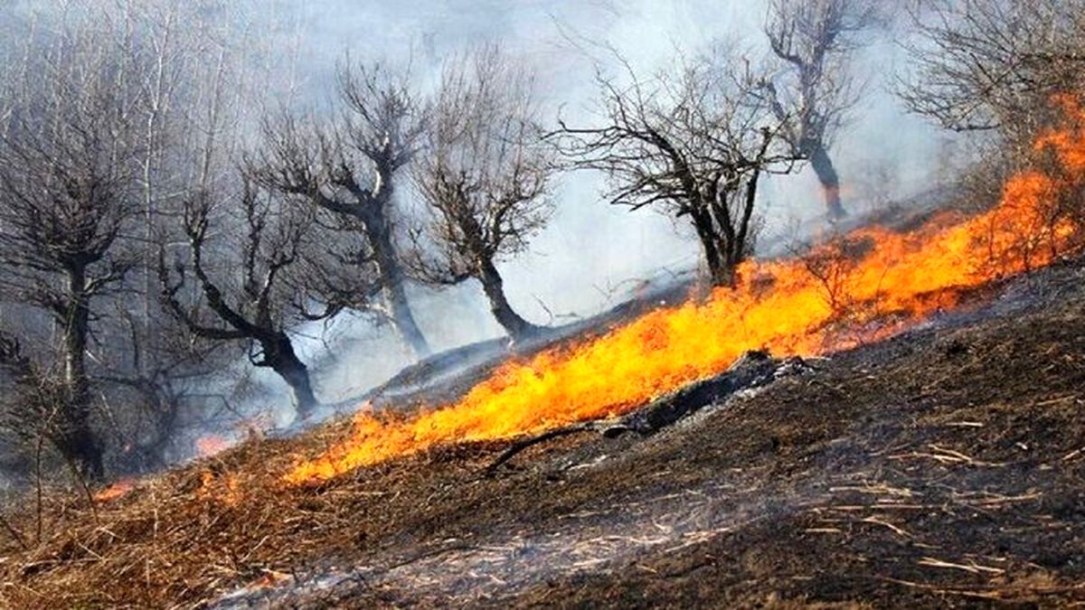 ۵ هکتار از جنگلهای رودبار در آتش سوخت