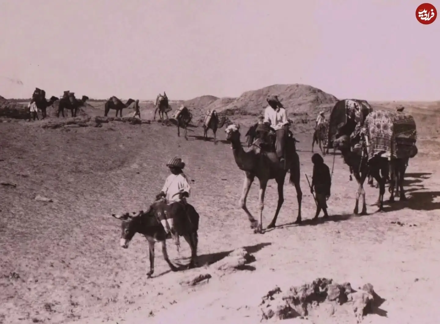 11zon_shahr_e_khorshid_1788631761_3979654063865455263_4834125998
