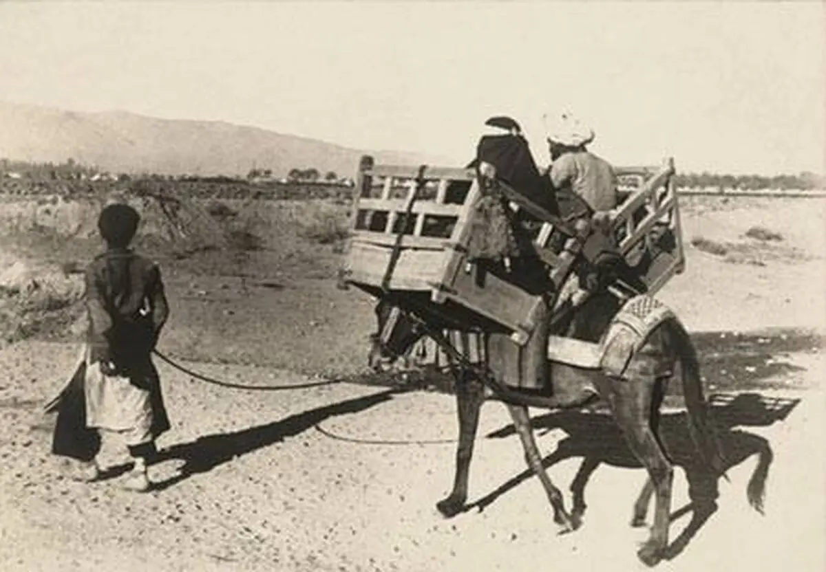 سفر در زمان؛ کاروان قاجاری در راه بندرعباس؛ سفر با شتر و الاغ در جنوب ایران 