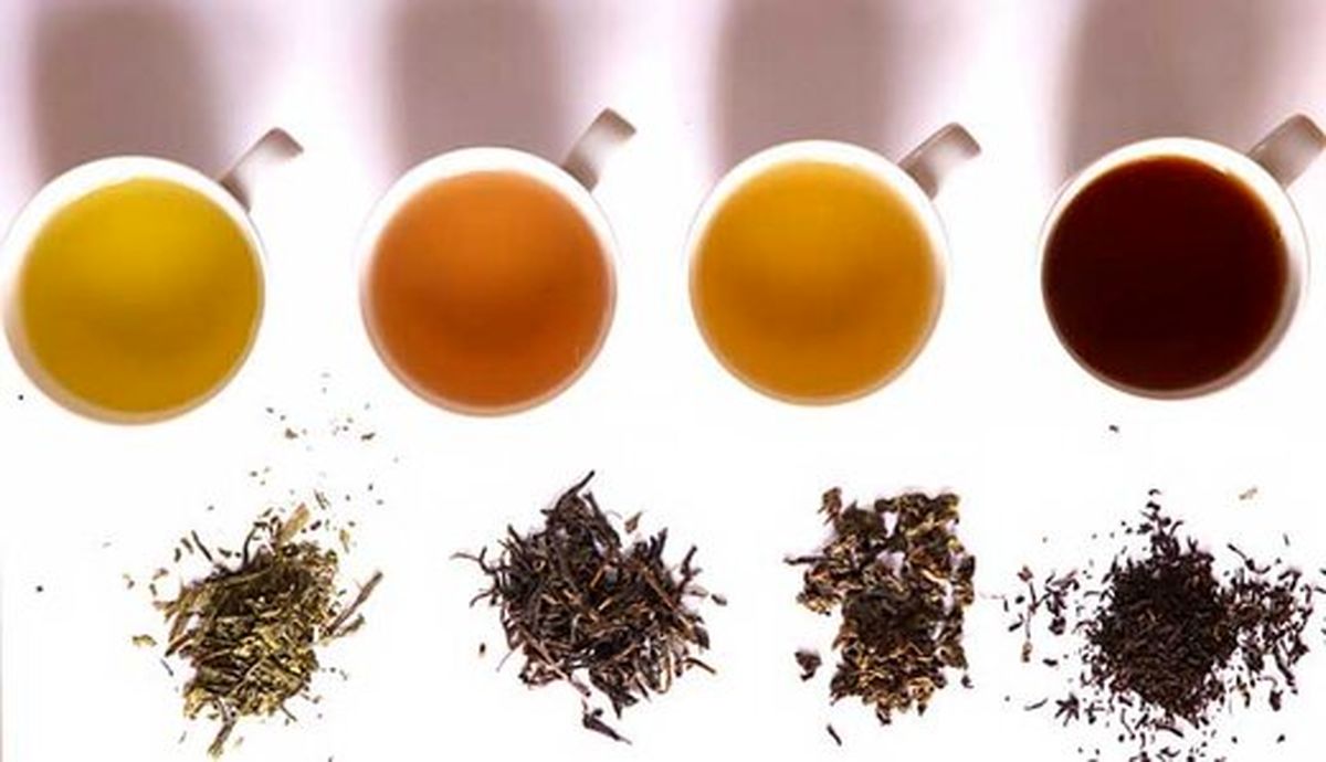 ۴ نوع چای که در کاهش وزن مؤثرند