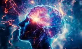 قسمتی از مغز ما هنگام بیداری چرت می‌زند و وقتی می‌خوابیم بیدار است!

