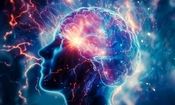 قسمتی از مغز ما هنگام بیداری چرت می‌زند و وقتی می‌خوابیم بیدار است!

