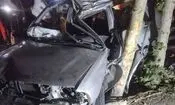 مرگ راننده پراید در برخورد با درخت در بزرگراه جلال آل احمد
