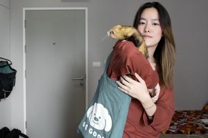 زیستگاه عجیب: تجارت پر رونق حیوانات خانگی عجیب و غریب در تایلند