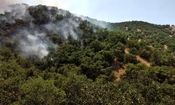آتش سوزی جنگل های مریوان همچنان ادامه دارد

