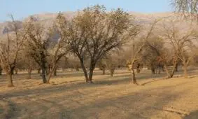 افزایش دو برابری دمای هوای؛ زاگرس در آستانه نابودی کامل