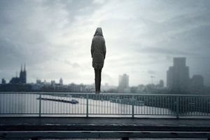 اقدام به خودکشی دختر 19 ساله از روی پل پیرنیا شیراز 