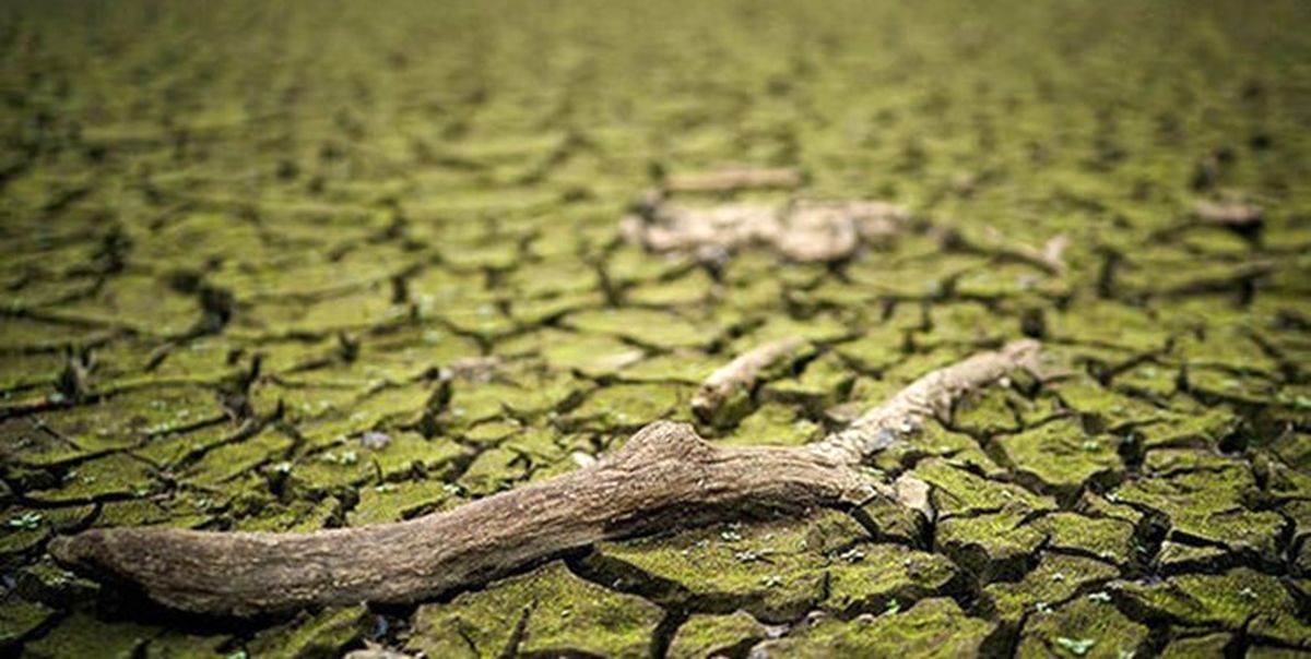 انگلیس ممکن است ماه آینده اعلام خشکسالی کند