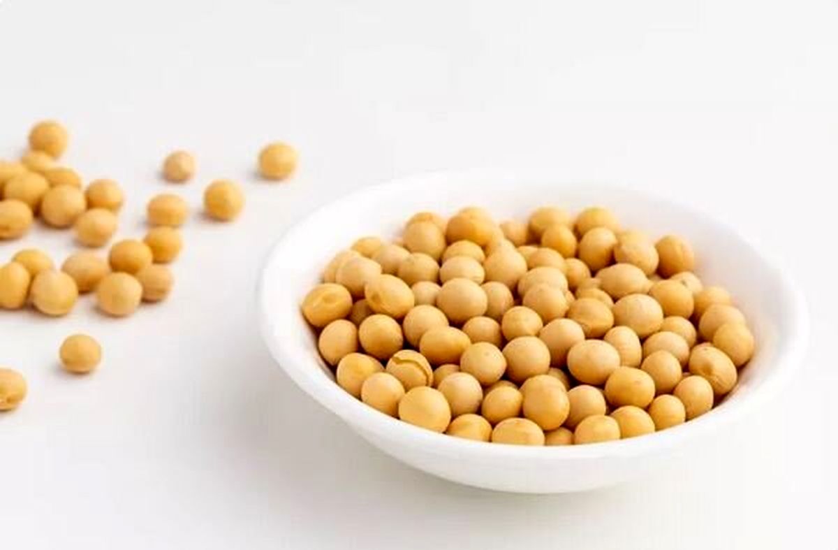 یک پروتئین گیاهی؛ از خواص و فرآورده های متنوع تا موارد احتیاط