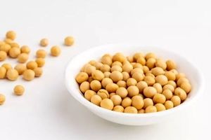 یک پروتئین گیاهی؛ از خواص و فرآورده های متنوع تا موارد احتیاط