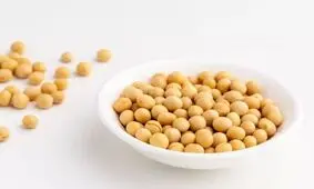 یک پروتئین گیاهی؛ از خواص و فرآورده های متنوع تا موارد احتیاط