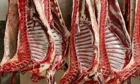 توزیع گوشت وارداتی با قیمت زیر ۷۰۰ هزار تومان از هفته آینده