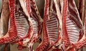 توزیع گوشت وارداتی با قیمت زیر ۷۰۰ هزار تومان از هفته آینده