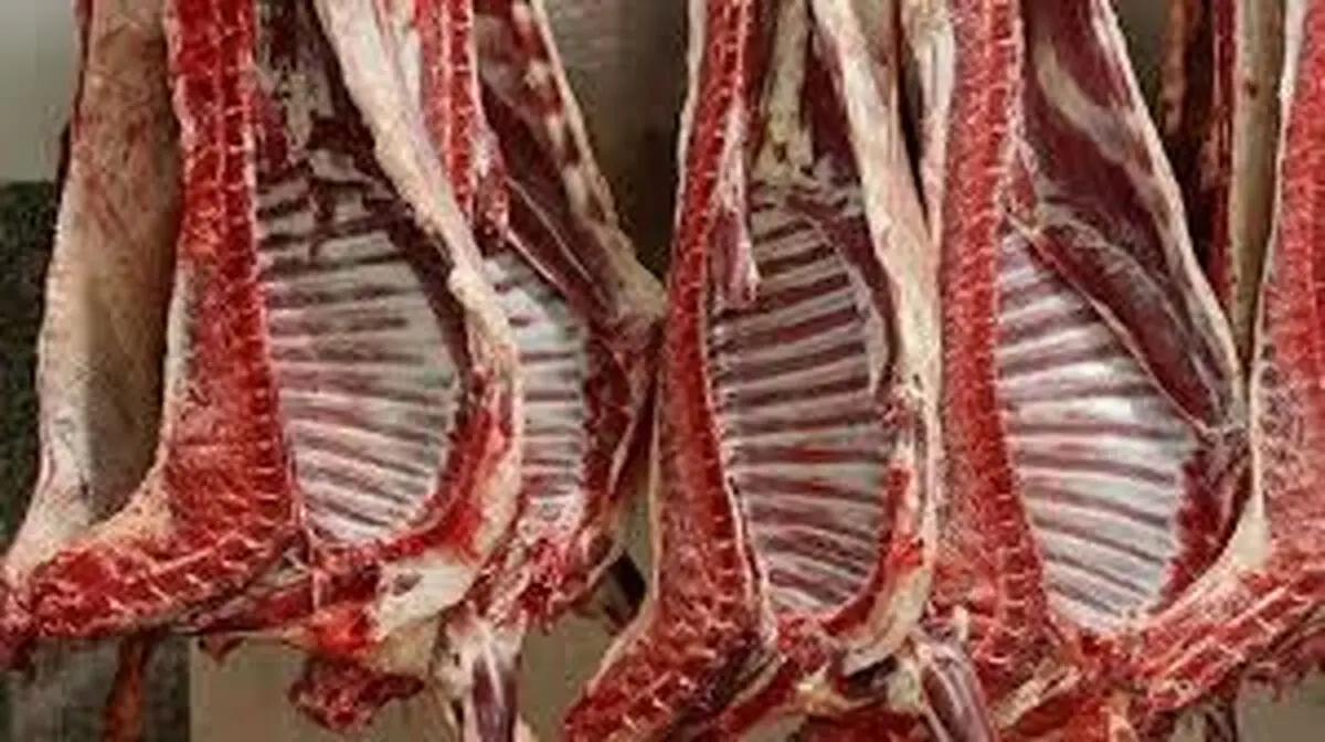 توزیع گوشت وارداتی با قیمت زیر ۷۰۰ هزار تومان از هفته آینده