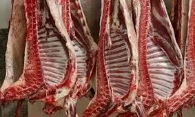 توزیع گوشت وارداتی با قیمت زیر ۷۰۰ هزار تومان از هفته آینده