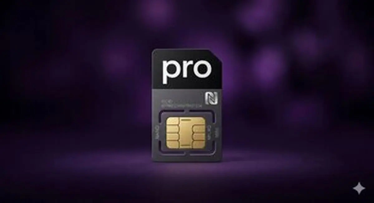 چرا هیچکس مسئولیت «اینترنت پرو» را نمی‌پذیرد؟