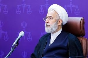 کشت خشخاش ممنوع است/ اسامی کسانی که ارز حاصل از صادرات را بازنگردانده اند اعلام شود
