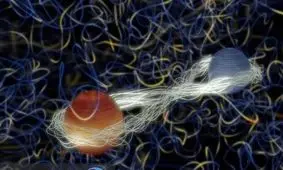 ثبت تصاویر ۳D با نور نامرئی با ترکیب فیزیک کوانتومی و هولوگرافی