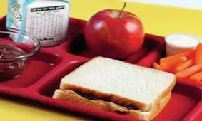 تاثیر عادات درست تغذیه ای بر آینده دانش آموزان