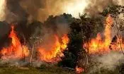 نقشه آتش‌سوزی جنگل هیرکانی/ ویدئو 